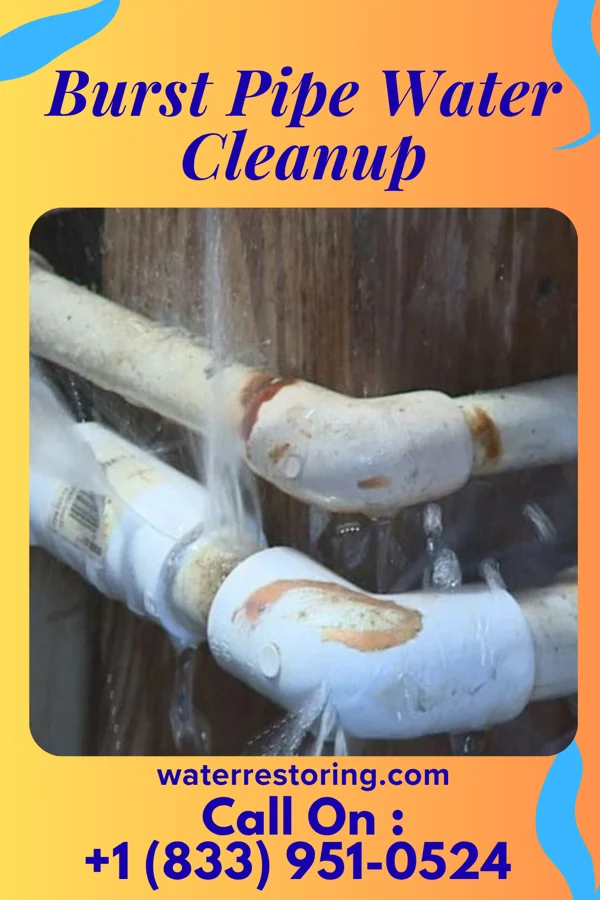 Burst Pipe Water Cleanup in Rensselaer, NY