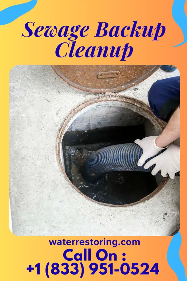 Sewage Backup Cleanup in Rensselaer, NY