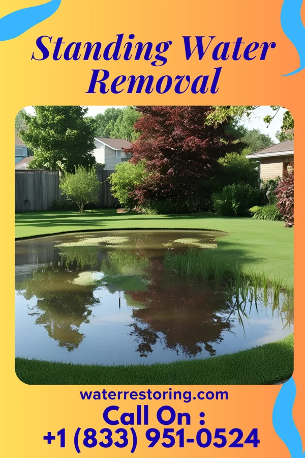 Standing Water Removal in Rensselaer, NY